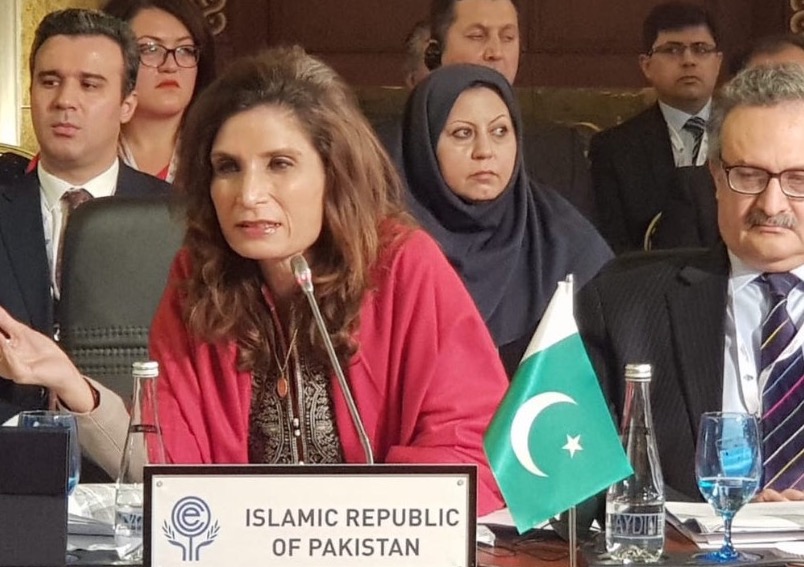 ECO Meet in Antalya Shares Pakistan’s Vision for Promoting Regional Economic Cooperation. Kashmir also Raised.