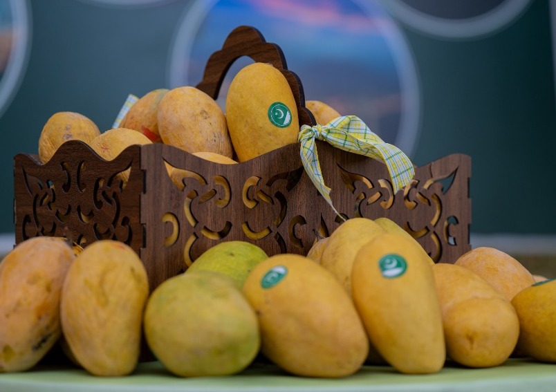 MANGO FESTIVAL DELIGHTS ANKARA WITH A TASTE OF PAKISTAN’S FINEST MANGOES